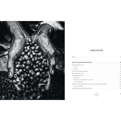 Книга "Философия кофе. От зерна до идеального напитка", Луиджи Оделло, Джованни Руджиери, Фабио Петрони - 2