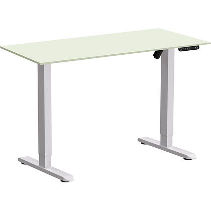 Стол с электроприводом WellDesk Basic 1200x675х18 белый/белый альпийский (9191460+9197776)