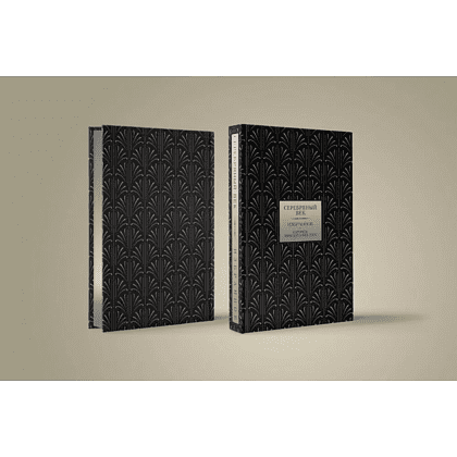 Книга "Серебряный век. Избранное. Картины Винсента ван Гога", Анна Ахматова, Константин Бальмонт, Андрей Белый - 3