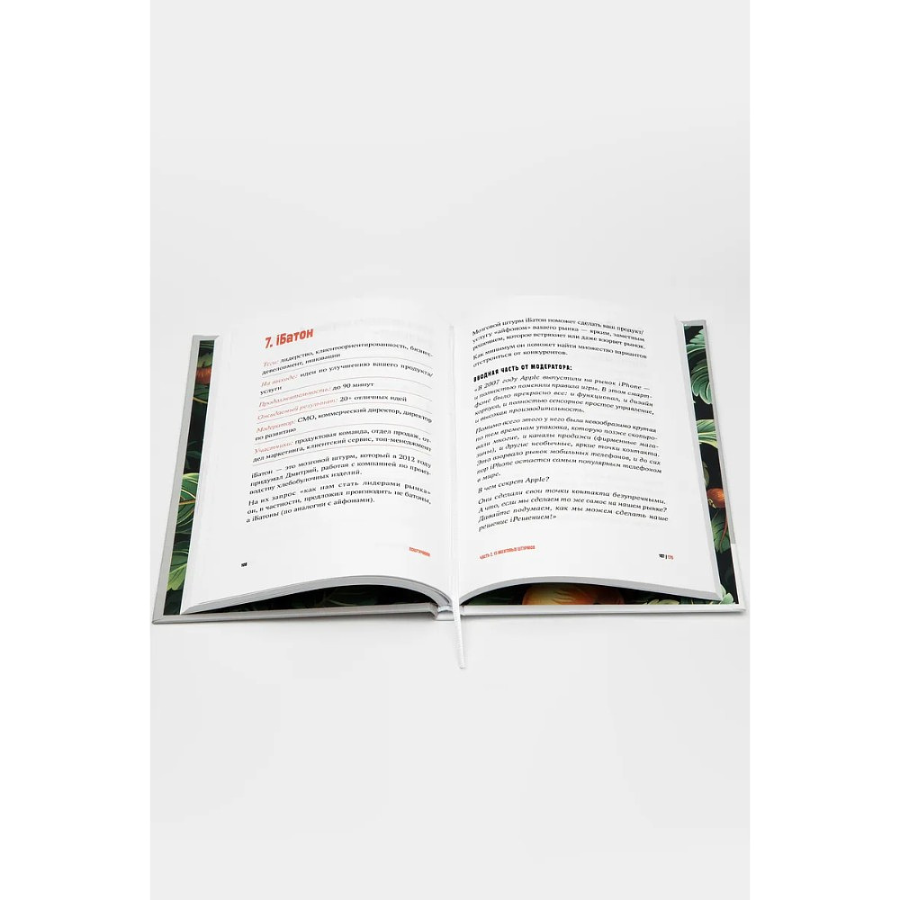 Книга "Поштурмим?", Игорь Манн, Дмитрий Турусин - 4