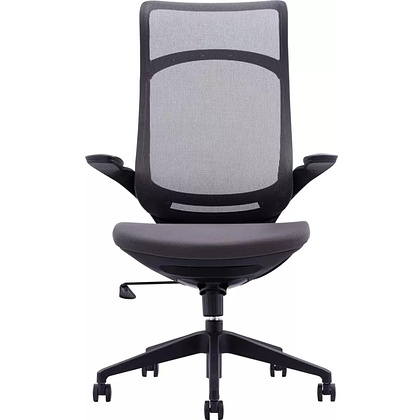 Кресло для руководителя EVERPROF Spirit, сетка, черный - 2