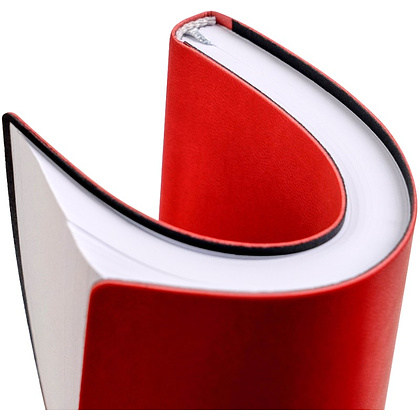 Ежедневник недатированный "Tucson Flex", А5, 272 страницы, красный - 5