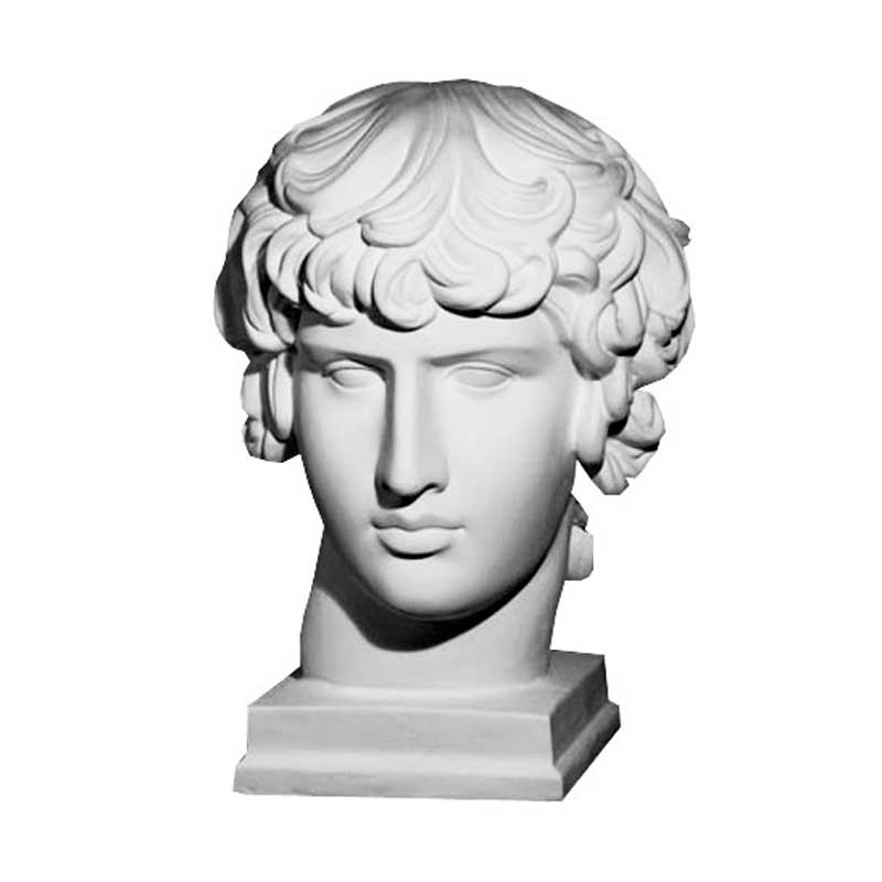 Гипсовая модель "Голова Антиноя"