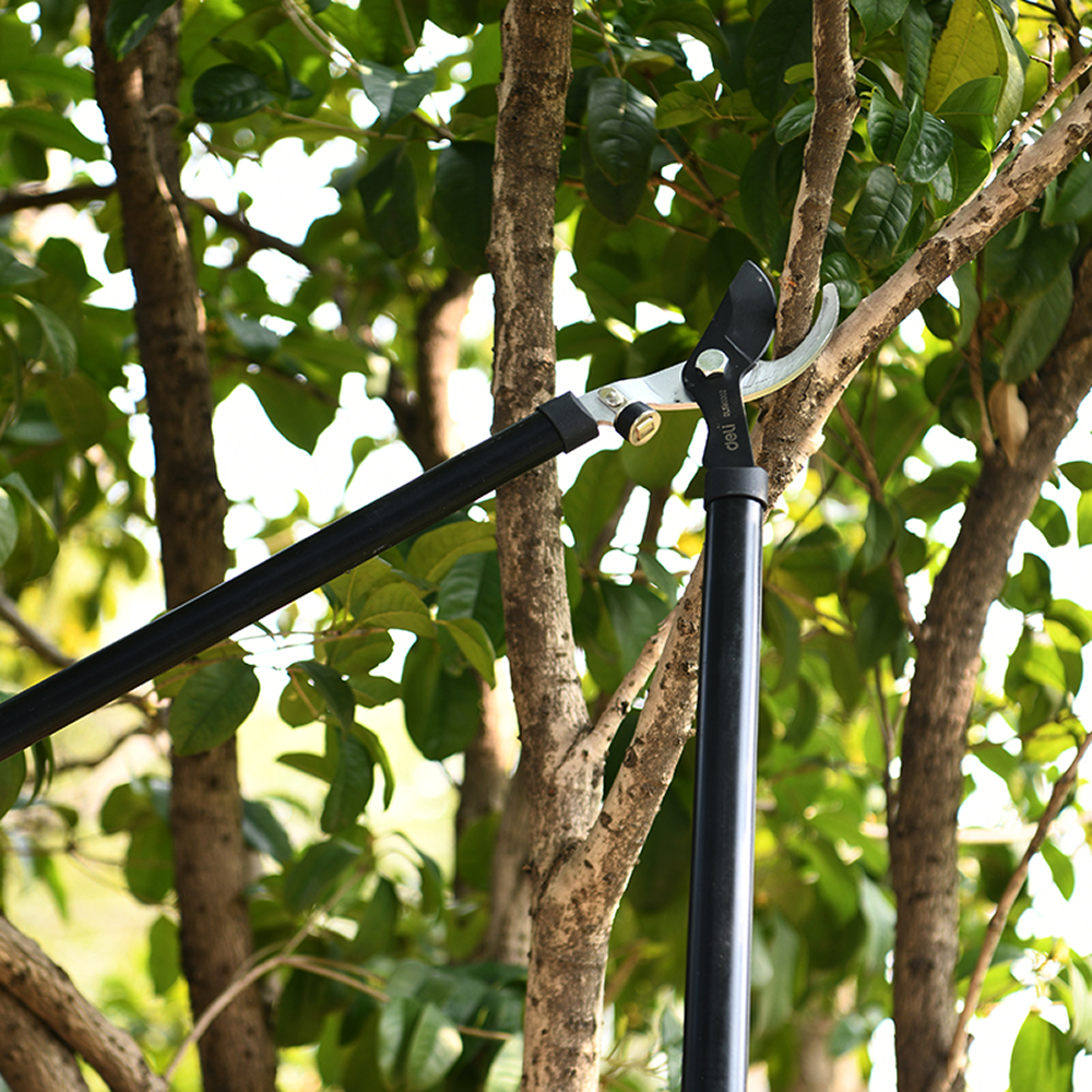 Набор садовых инструментов Deli GS EDL580002, 2 шт. - 4