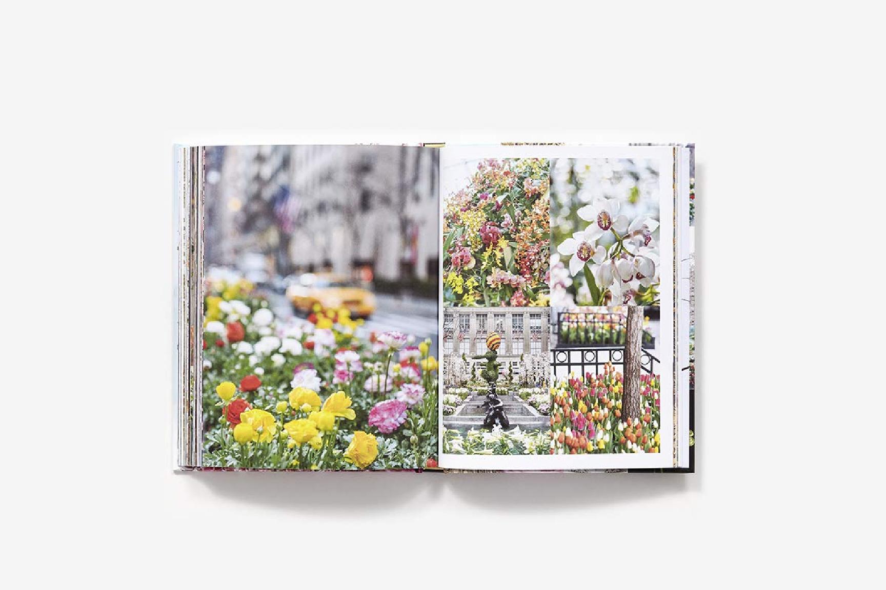 Книга на английском языке "New York in Bloom", Lane G.