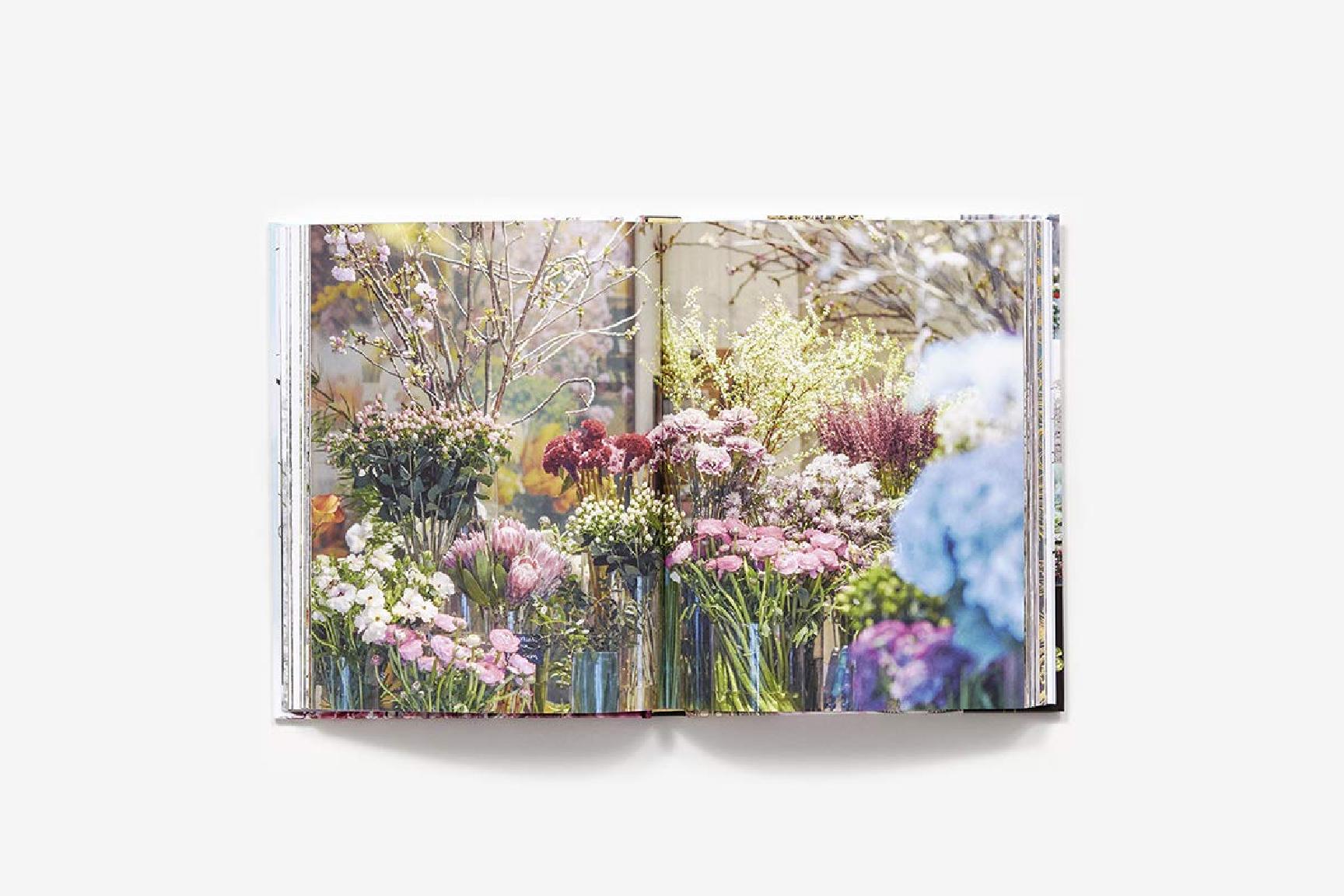Книга на английском языке "New York in Bloom", Lane G. - 4