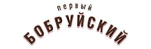 Первый Бобруйский