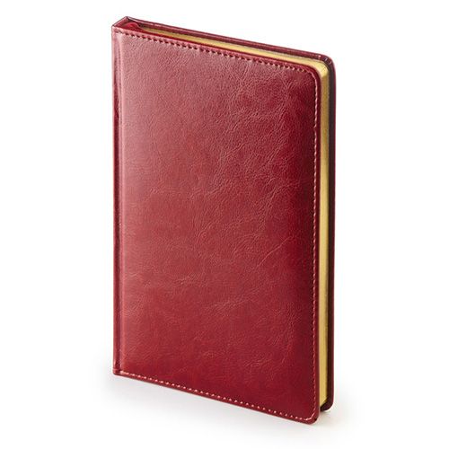 Ежедневник недатированный "Sidney Nebraska" А4