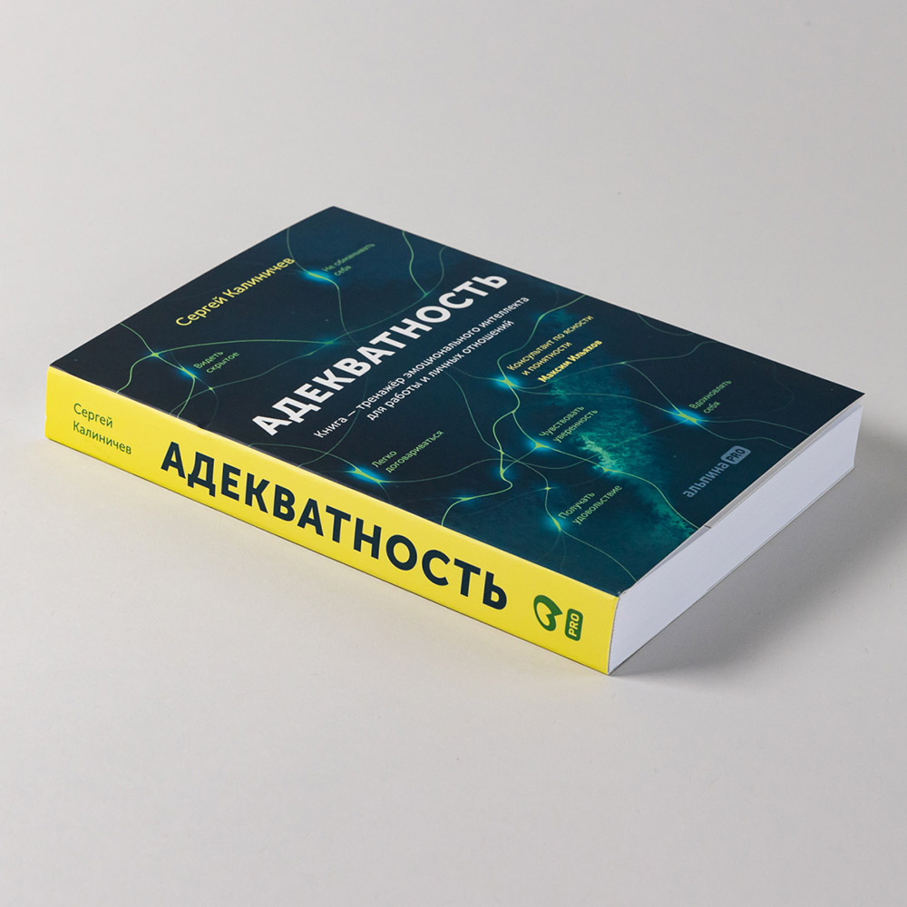 Книга "Адекватность. Как видеть суть происходящего, принимать хорошие решения и создавать результат без стресса", Сергей Калиничев - 9