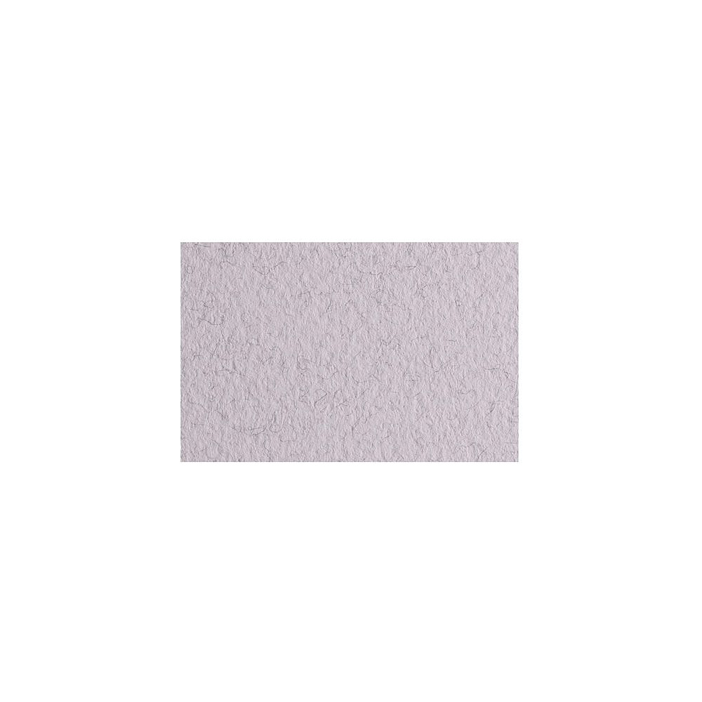 Бумага для пастели "Tiziano", 50x65 см, 160 г/м2, лама 