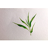 Блок-склейка для акварели "Bamboo", А4, 250г/м2, 20 листов - 4